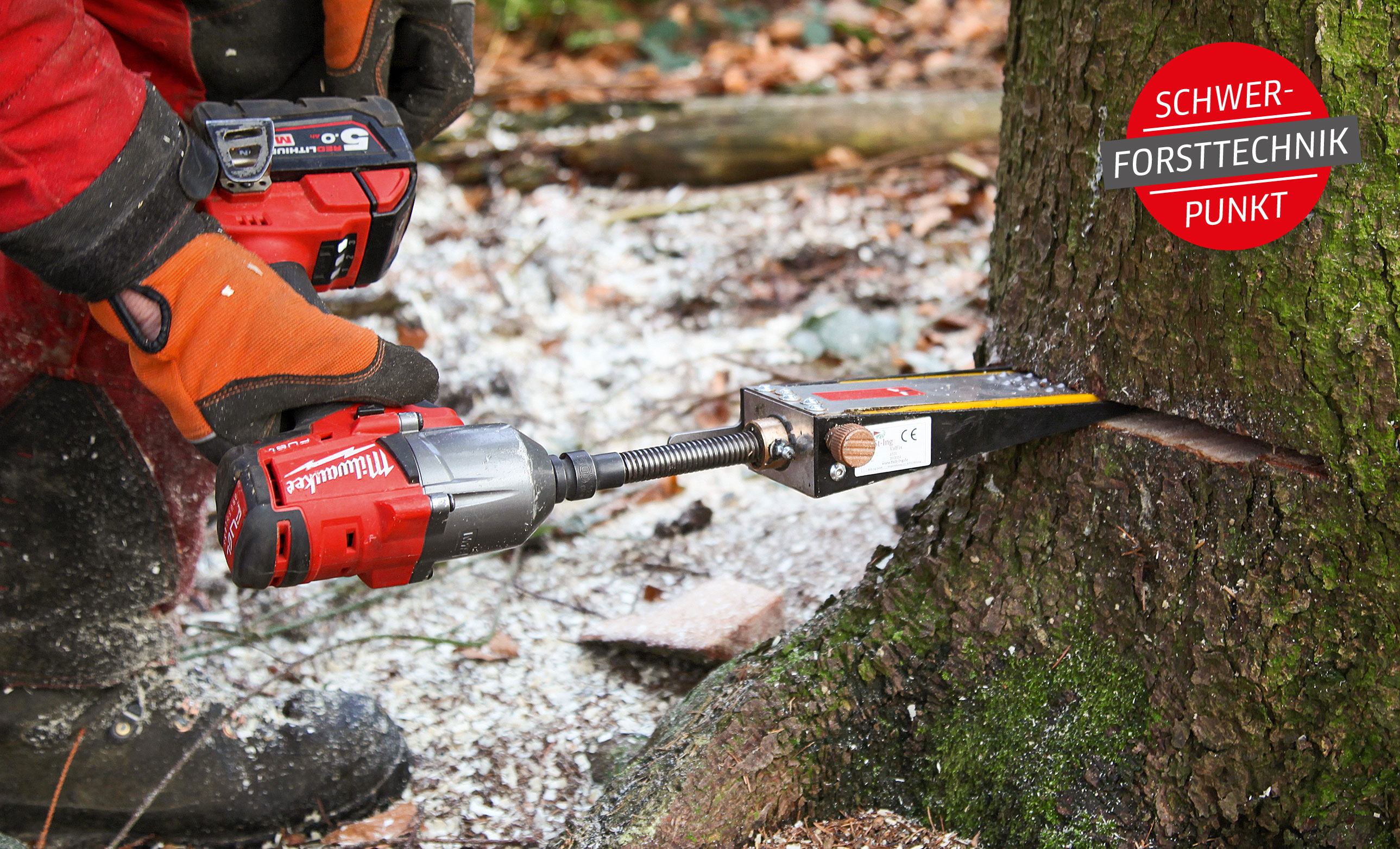 Mechanische Fällkeile im Praxis-Einsatz: Einfach und sicher